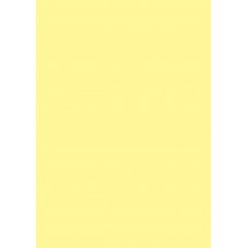 Buitenverf Farrow & Ball Exterior Masonry Dayroom Yellow