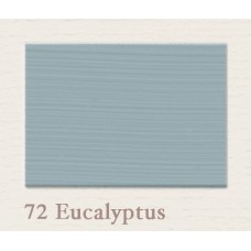 Painting the Past Eucalyptus Eggshell