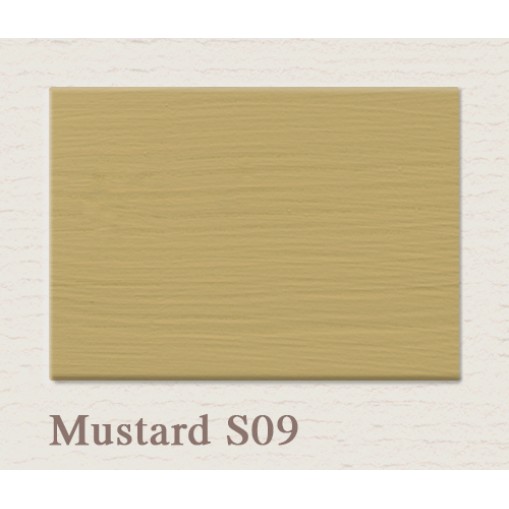 Painting the Past Mustard Matt