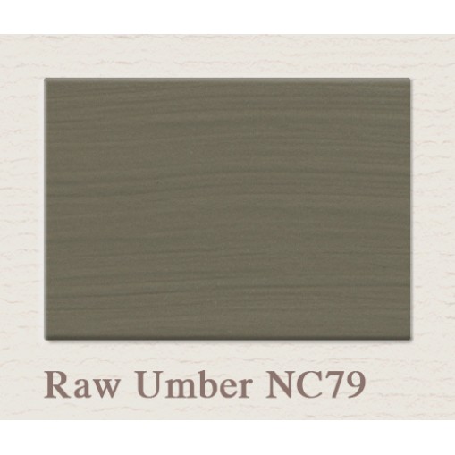 Painting the Past Raw Umber Eggshell