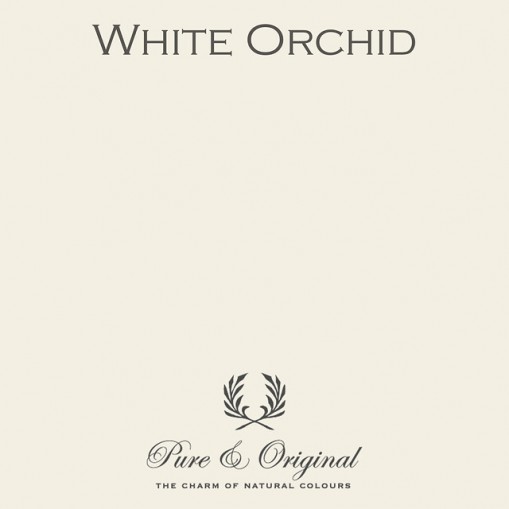 Pure & Original White Orchid Licetto