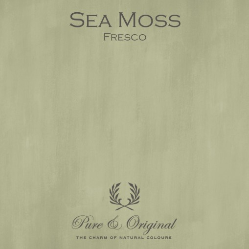Pure & Original Sea Moss Kalkverf