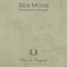 Pure & Original Sea Moss Marrakech Walls