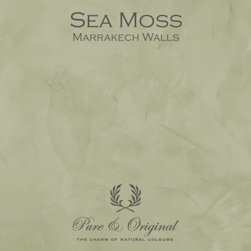 Pure & Original Sea Moss Marrakech Walls