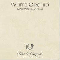 Pure & Original White Orchid Marrakech Walls