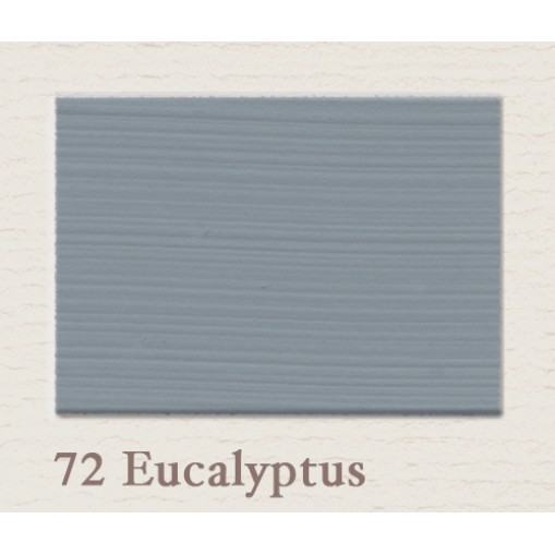 Painting the Past A5 Kleurstaal Eucalyptus